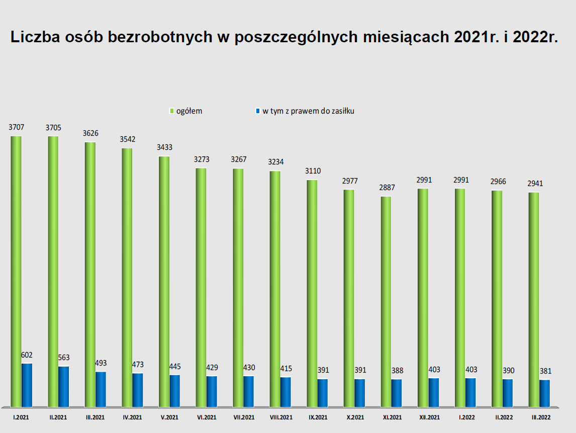Liczba osób bezrobotnych w poszczególnych miesiącach 2021r. i 2022r.